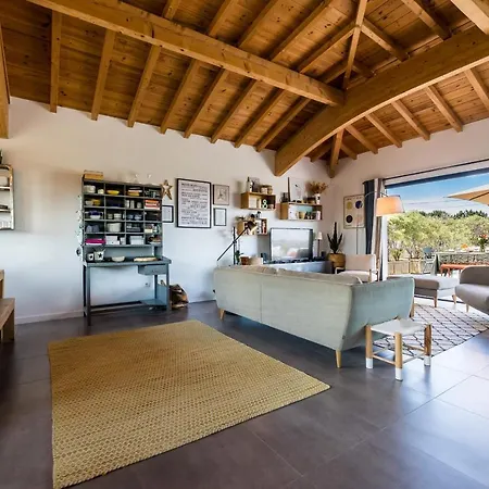 Villa Tropical Keyweek Beautiful Architect With Swimming Pool In Bidart